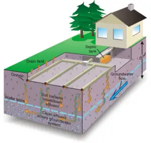 Drain Field Explained